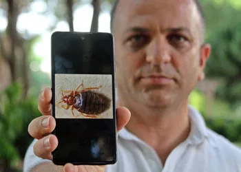İnsanın uyumasını bekleyip kan emiyorlar