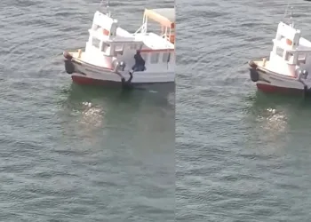 Haliç’te kadın köprüden denize düştü