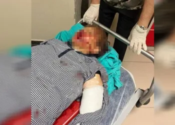 Hayırsız torun şiddeti