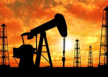 Gabar petrolünde hedef yılda 100 bin varil üretim