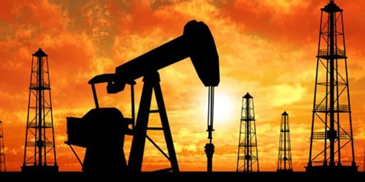 Gabar petrolünde hedef yılda 100 bin varil üretim