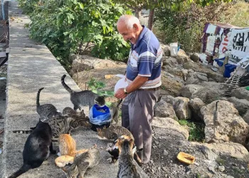 100 kedinin ‘dedesi’ oldu, maaşını onlar için harcıyor