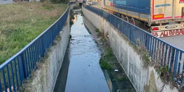 Biz burnumuzu, yetkililer kulaklarını tıkıyor