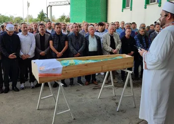 Arı sokması sonucu hayatını kaybetti