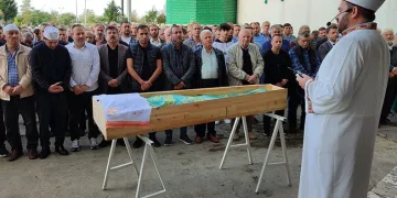 Arı sokması sonucu hayatını kaybetti