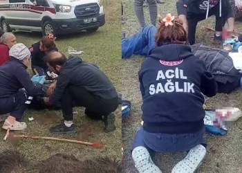 Yaşlı adam tarlada ayının saldırısına uğradı