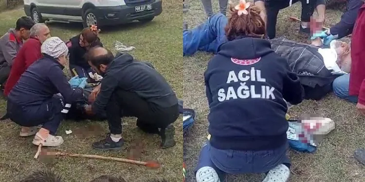 Yaşlı adam tarlada ayının saldırısına uğradı