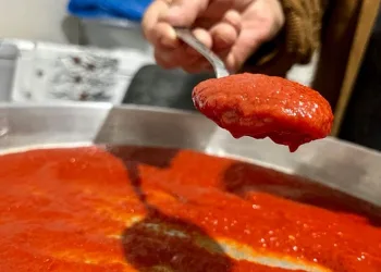 Kadınların salça mesaisi başladı