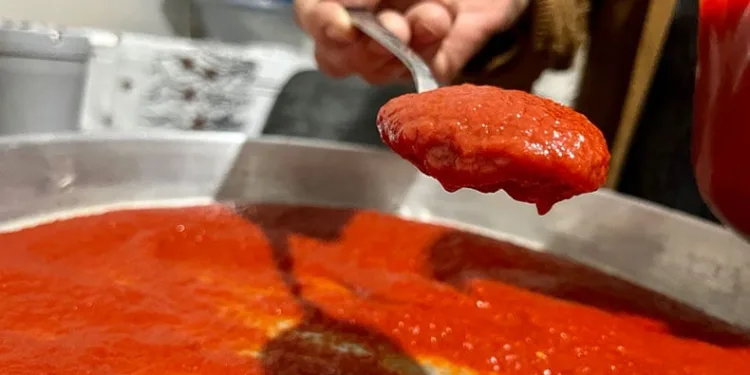 Kadınların salça mesaisi başladı