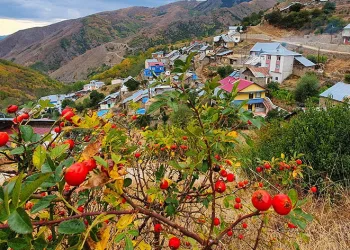 Sonbaharın büyüleyici renkleri