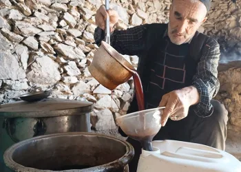 Üzüm pekmezinin üretimi devam ediyor