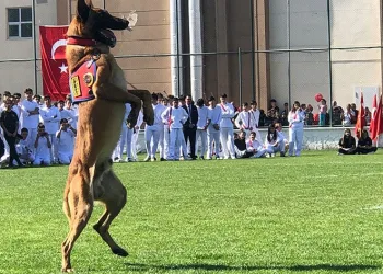 Jandarma köpeği tam not aldı