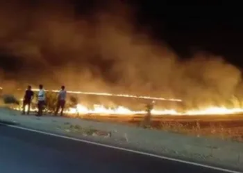 Adıyaman’da korkutan anız yangını
