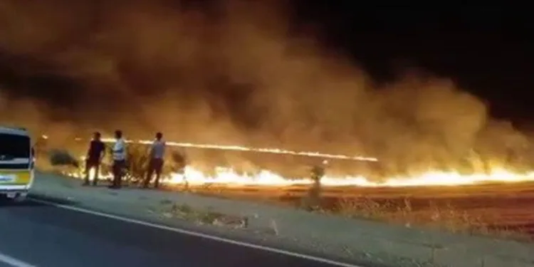 Adıyaman’da korkutan anız yangını