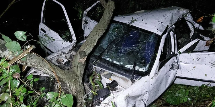 Tıra çarpan otomobil şarampole yuvarlandı