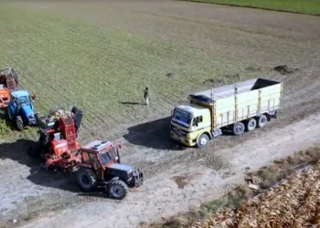 Pancar Şekeri fiyatları üreticiyi ekim yapmaktan soğuttu