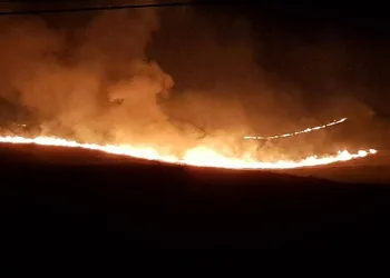 Alaca’da anız yangını