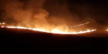 Alaca’da anız yangını