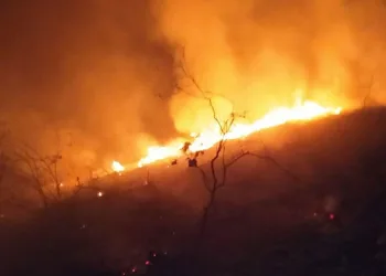 Sarıgöl’de orman yangını