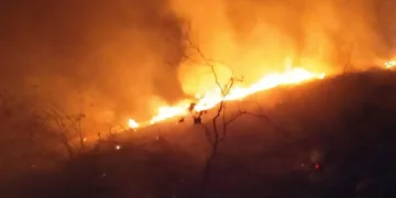 Sarıgöl’de orman yangını