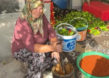 Geleneksel yöntemlerle pul biber üretimi