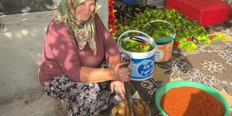 Geleneksel yöntemlerle pul biber üretimi