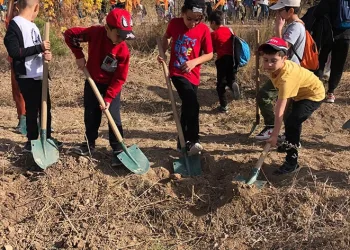 100. yılda 100 bin fidan etkinliği