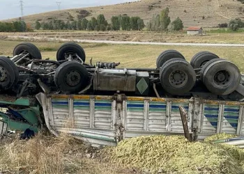 13 ton mısır silajı ziyan oldu