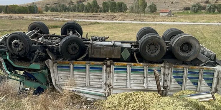 13 ton mısır silajı ziyan oldu