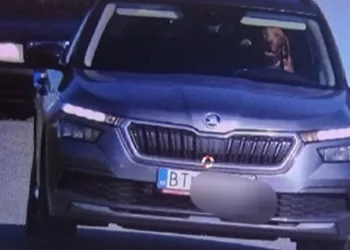 Aracın direksiyonuna köpek geçti