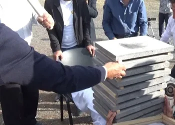 120 kilo taşı midesinde balyozla kırdırdı