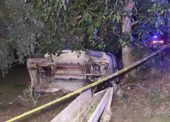 Bursa’da domuza çarpan araç zeytinliğe uçtu