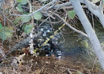 Eve gelmeyince arama çalışması başlatılmıştı