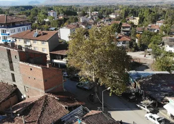 Geçmişte darağacı olarak kullanılıyordu