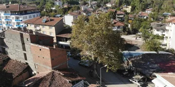 Geçmişte darağacı olarak kullanılıyordu