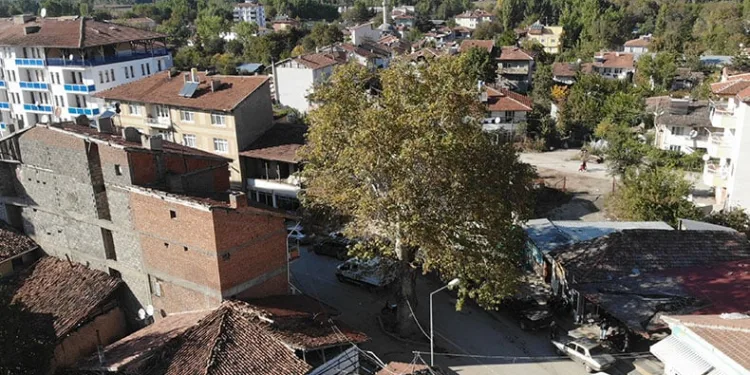 Geçmişte darağacı olarak kullanılıyordu