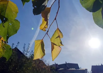 Gümüşhane’de pastırma yazı etkili oluyor