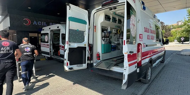 Bahçesinde bağlı köpeğinin saldırısına uğradı