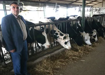 Tedbir alınmazsa süt üreten kalmayacak