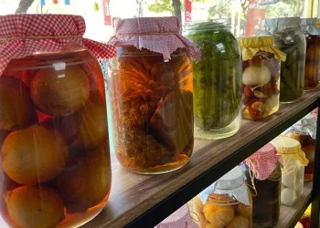 En doğal antibiyotik “turşu”