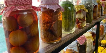 En doğal antibiyotik “turşu”