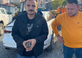 Tekirdağ’da Ebabil kuşu bulundu