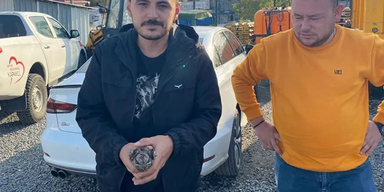 Tekirdağ’da Ebabil kuşu bulundu