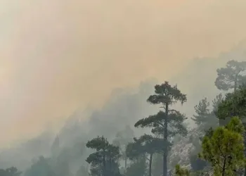 Burdur’da orman yangını