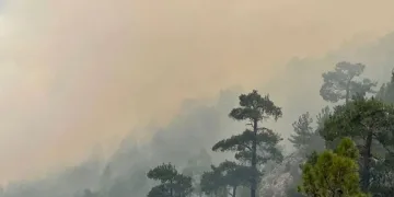 Burdur’da orman yangını