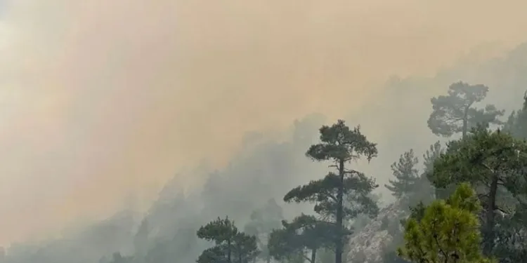 Burdur’da orman yangını
