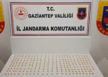Gaziantep’te 245 adet sikke ele geçirildi