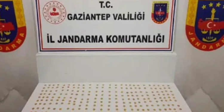 Gaziantep’te 245 adet sikke ele geçirildi