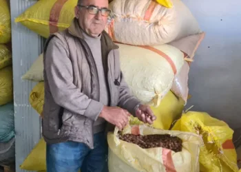 Fındık 125 lirayı görecek