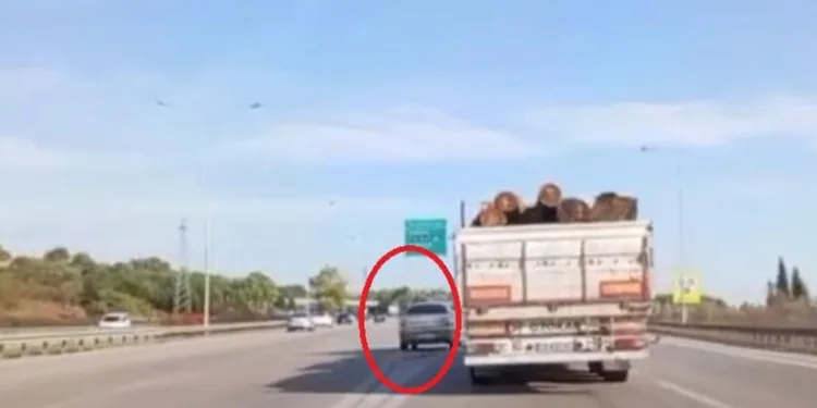 Kararsız sürücü otobanda refüje daldı